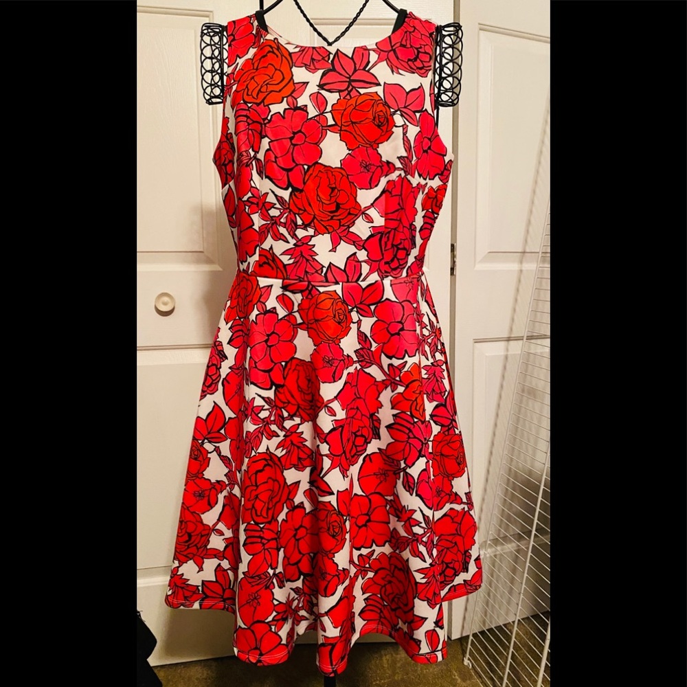 Ladies dress